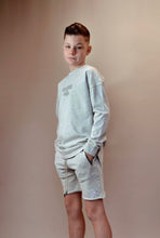 Load image into Gallery viewer, BASICS SHORTS - ACID WASH GREY