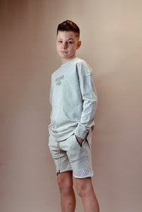 BASICS SHORTS - ACID WASH GREY